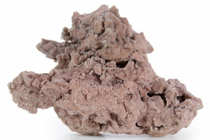 Youngite Agate/Jasper Specimen - Wyoming #347586